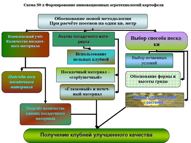 Организационная диаграмма